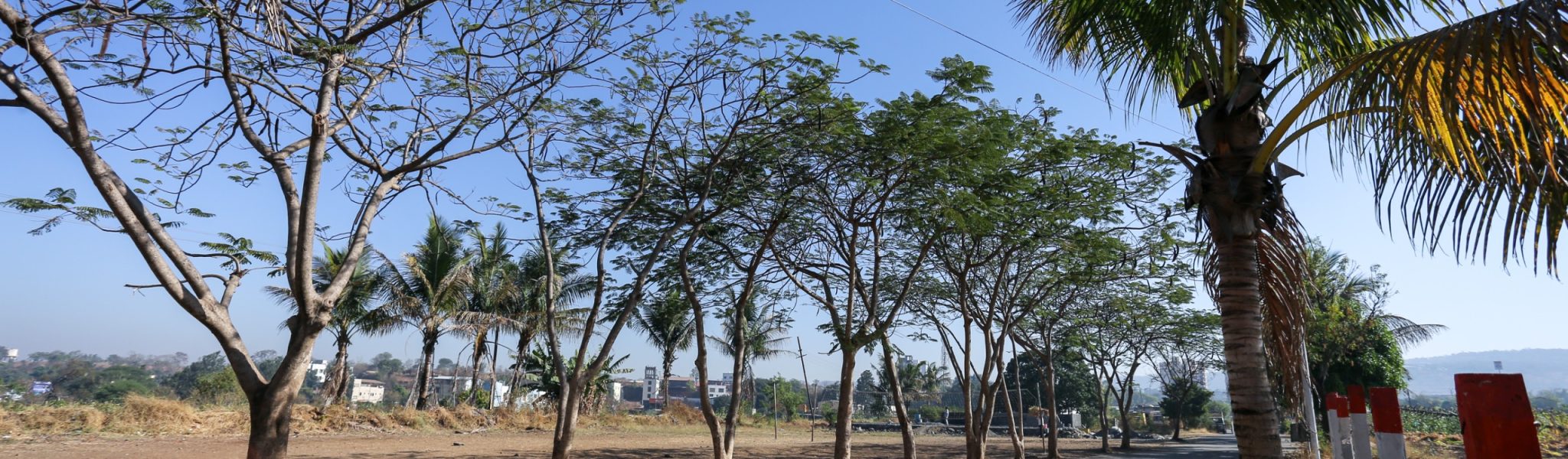 WhatsApp Image 2025-02-13 at 19.35.00